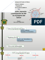 Regulación, Expresión y Participación de FAP en El Progreso Del Cáncer