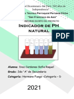 Informe Del Proyecto Categoria D 2a de Secundaria