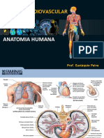Anatomia - Sistema Cardiovascular I (1)