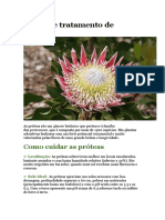 Cultivo e Tratamento de Próteas