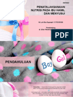 Nutrisi Ibu Hamil dan Menyusui