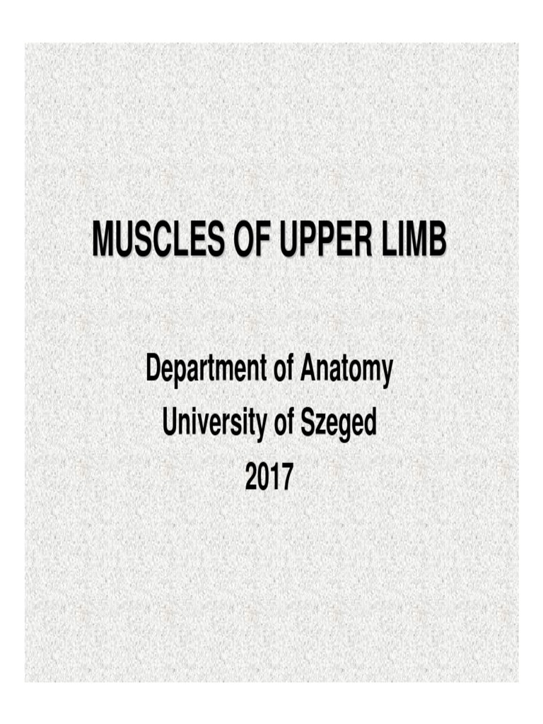 03 Muscles of Upper Limb Biology Diagrams