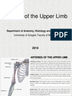 04 Vessels of Upper Limb