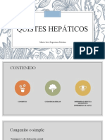 Quistes Hepáticos