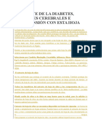 Despídete de La Diabetes, Derrames Cerebrales e Hipertensión Con Esta Hoja (Olivo)