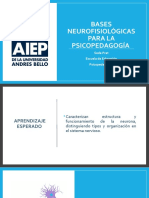 Bases neurofisiológicas para la psicopedagogía