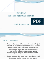 SISTEM REPRoDUKSI Mengajar Kesmas