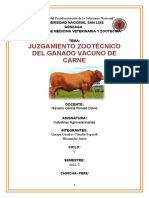 Juzgamiento de Ganado Carnico - Grupal