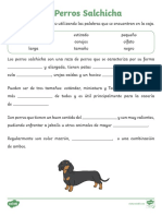 Completar Textos Perros Salchicha