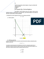 Métodos de Punto Fijo y Newton