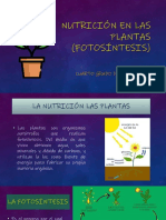 Nutrición en Las Plantas (Fotosíntesis)