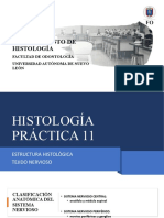 Lab Histo Práctica 11