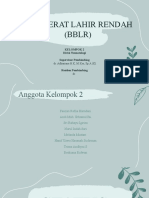 BBLR-DS KLP 2
