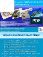 Konservasi Jenis Ikan (Penyu)