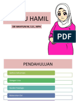 Gizi Pada Ibu Hamil