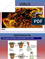 VIRUS pdf1667443381