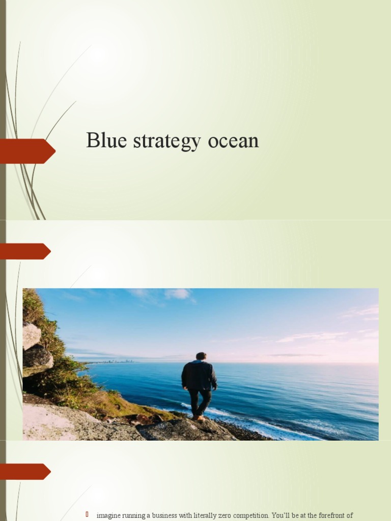 Blue Ocean Strategy PDF Business Economies