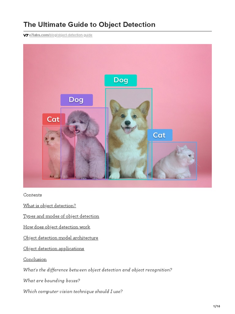 The Ultimate Guide To Object Detection | PDF | Image Segmentation ...
