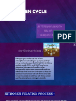 Tejaswani Sachdeva 39 9D Science Project (Nitrogen Cycle)