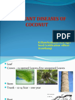 Coconut Diseases