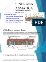 Menbrana Plasmatica