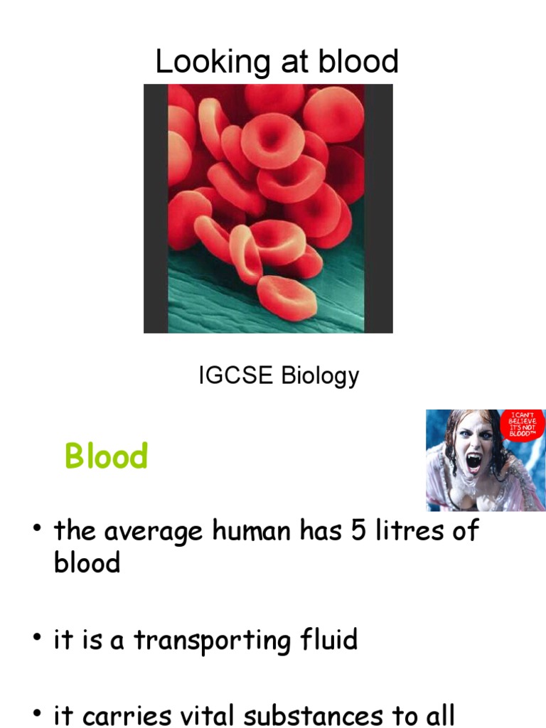 Understanding Human Blood Components | PDF | Science & Mathematics
