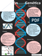 Infografia Expresion Genetica