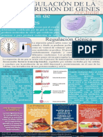 Regulacion de Genes