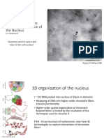 Lecture 16 3D Organisation