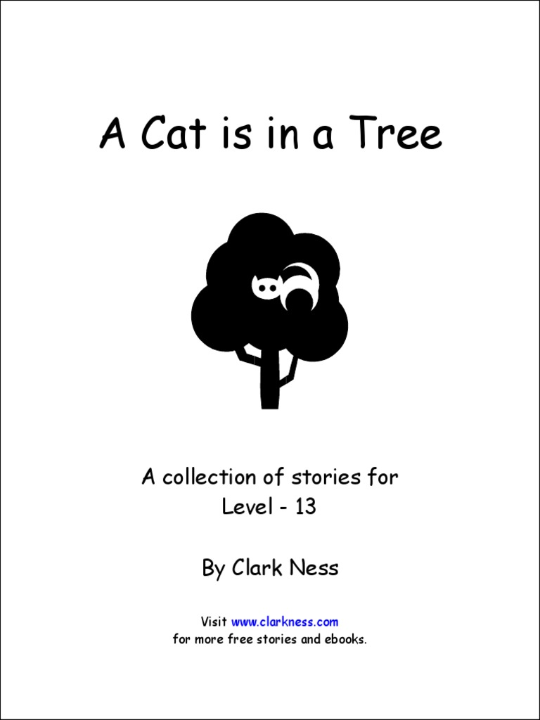 beginning-reader-stories-level-13-pdf-photocopier-copyright
