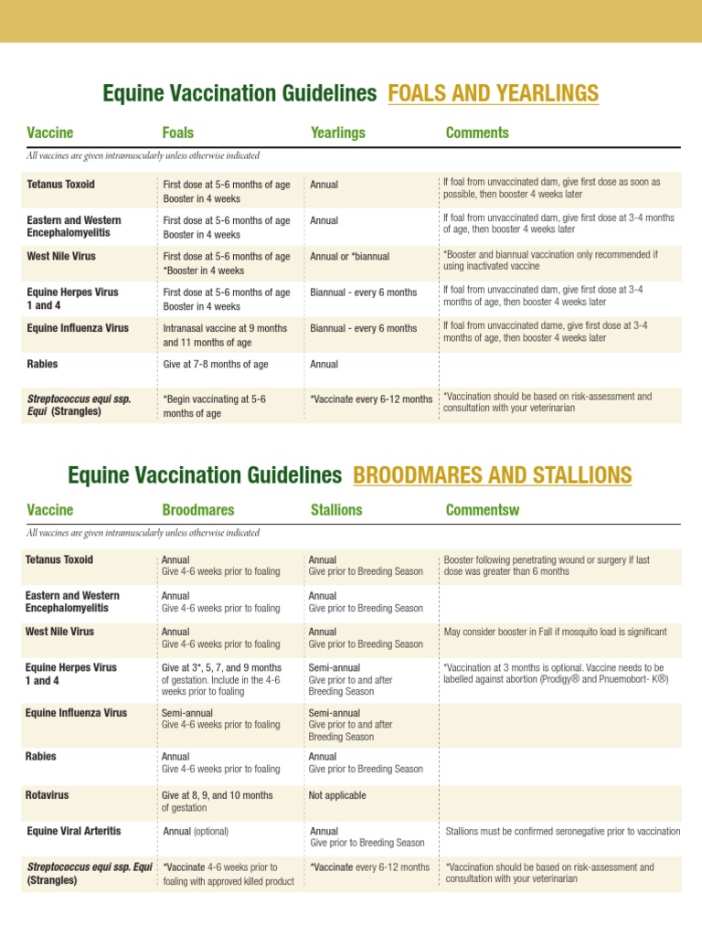 equine-vaccination-guidelines-pdf-vaccines-horse-breeding