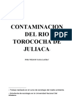 Contaminacion Del Rio Torococha