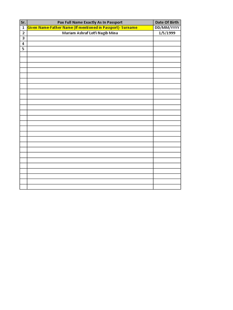 Visa Template Format | PDF