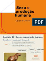 8.1_PowerPoint CapÃ­tulo 16_ Sexo e reproduÃ§Ã£o humana