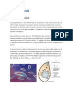 8 - Toxoplasmosis