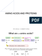 Amino Acids 2022