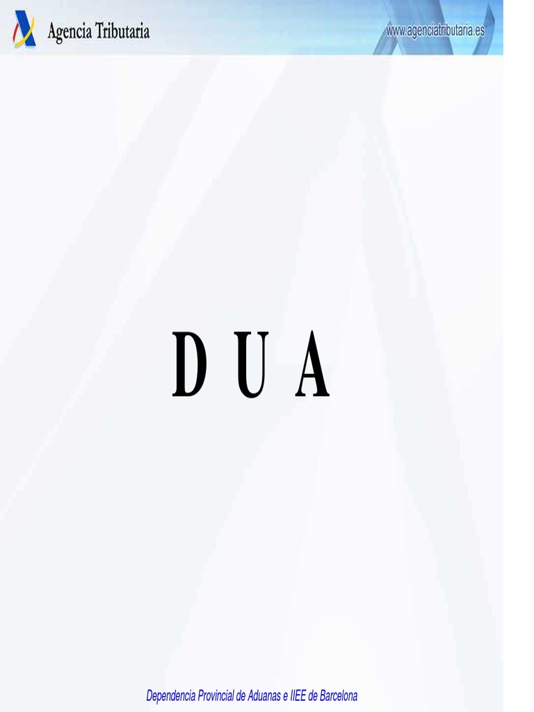 Dua 2 Pdf Aduana Relaciones Internacionales