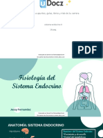 Sistema endocrino: anatomía, funciones y hormonas clave