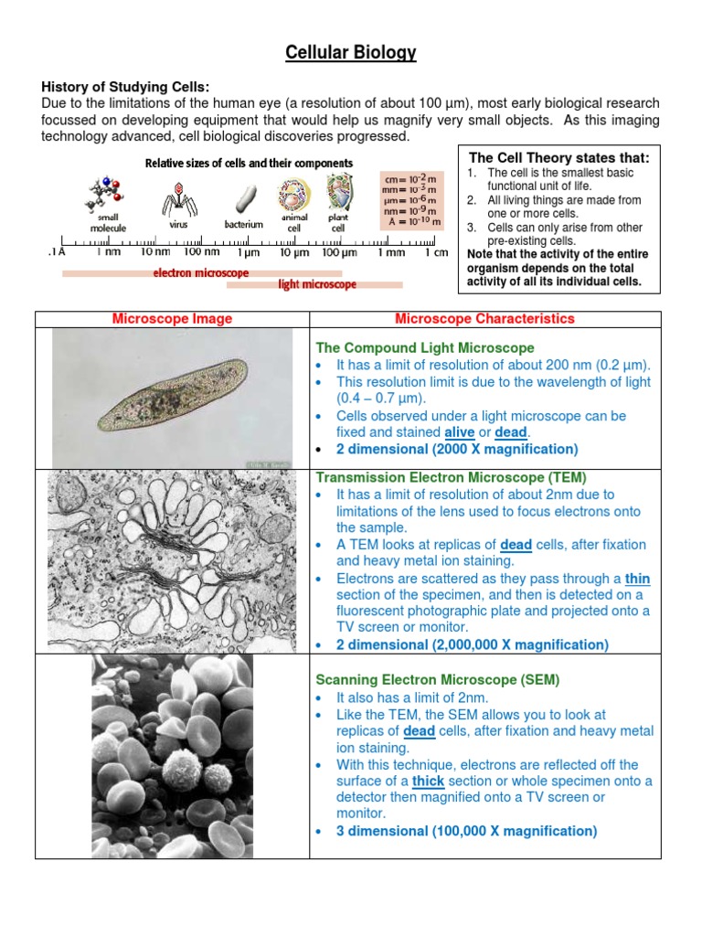 Cellular Biology & Microscopes PDF Microscope Transmission