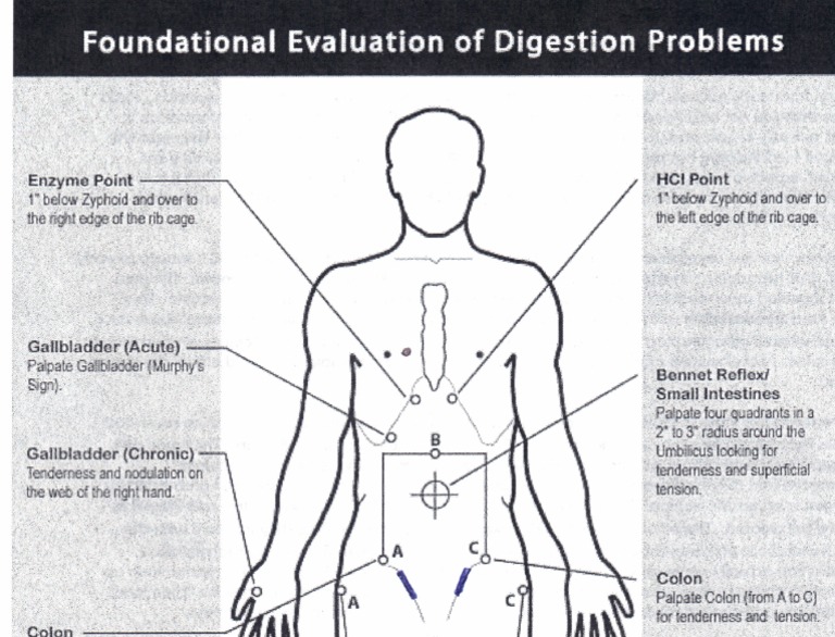 Acid Reflux Points PDF