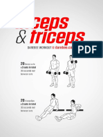Bicep and Triceps Workout
