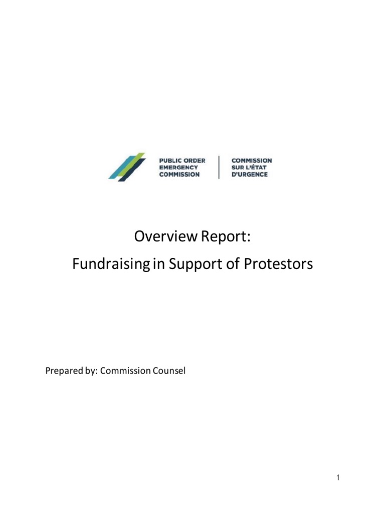 Overview Report: Fundraising in Support of Protestors | PDF |  Cryptocurrency | Bitcoin