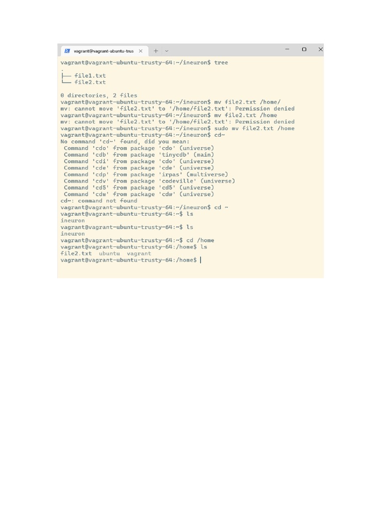 Linux Command | PDF