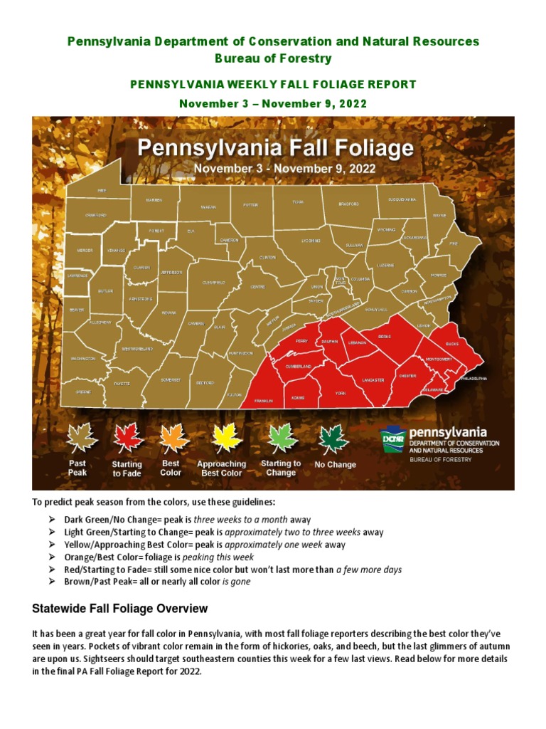 PA Fall Foliage Report: Nov 3-9, 2022 | PDF | Plants | Botany