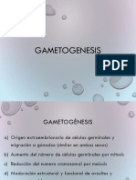 Cap 5 Gametogénesis 22
