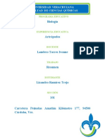 RESUMEN ODS Objetivos Del Desarrollo Sosteniblea