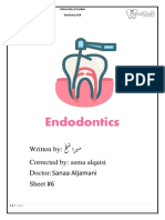 Endo Sheet 6