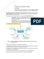 Tema 3 - Organización