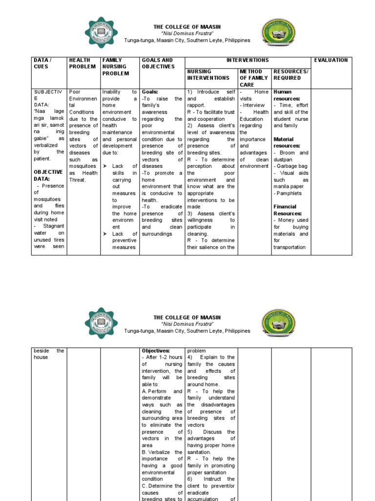 Family Health Improvement Strategies | PDF | Hypertension | Nursing