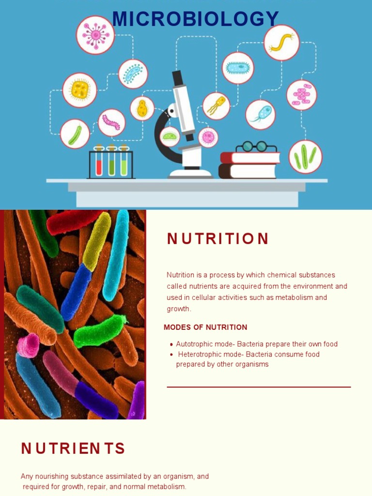 Nutrition in Bacteria | PDF | Nutrients | Chemistry